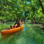 Plantation Tours
