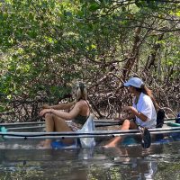 Eco Tours