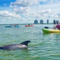 Water Sports