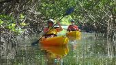 Amazing Adventure! Highly Recommended!