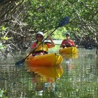 Boat Rentals