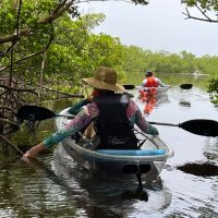 Self-guided Tours & Rentals