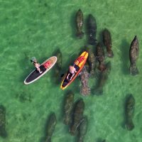 Stand Up Paddleboarding