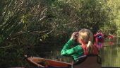 Paddling With the Gators